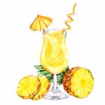 Vanilla Pineapple Margarita fragrance oil